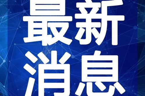龙虎鼠最新爆料视频播放,揭秘幕后真相,视频播放引发热议